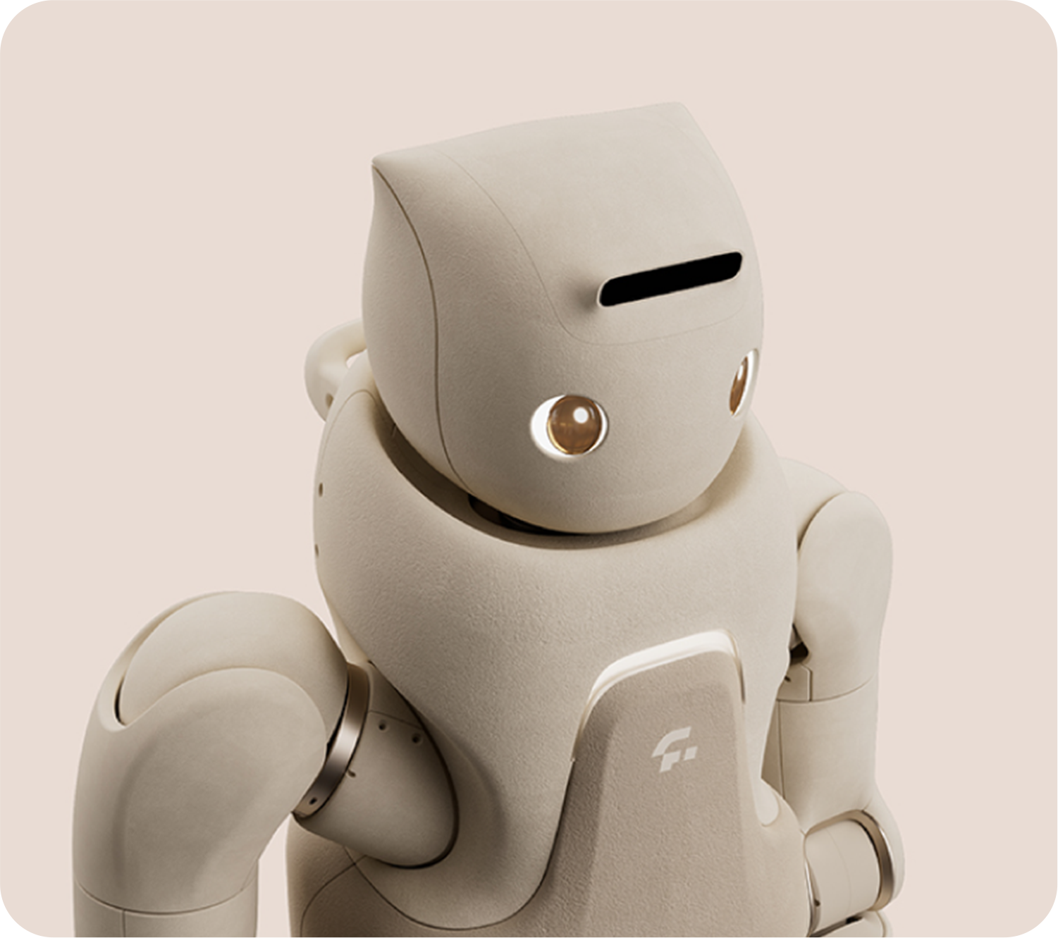 全面优化本体结构